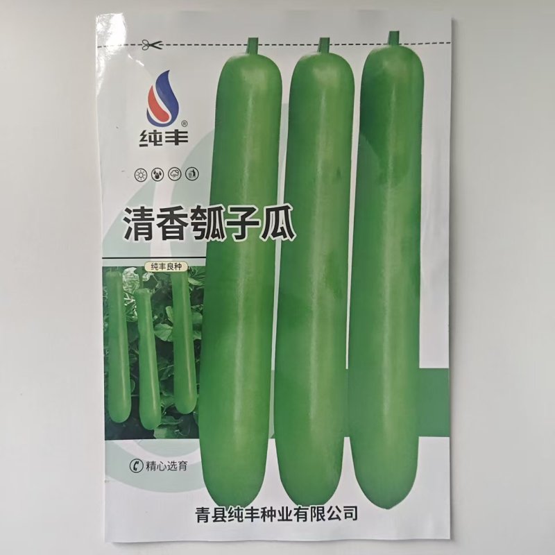 纯丰清香瓠子瓜早生长瓠瓜种子瓠子蒲瓜油亮长棒型蔬菜