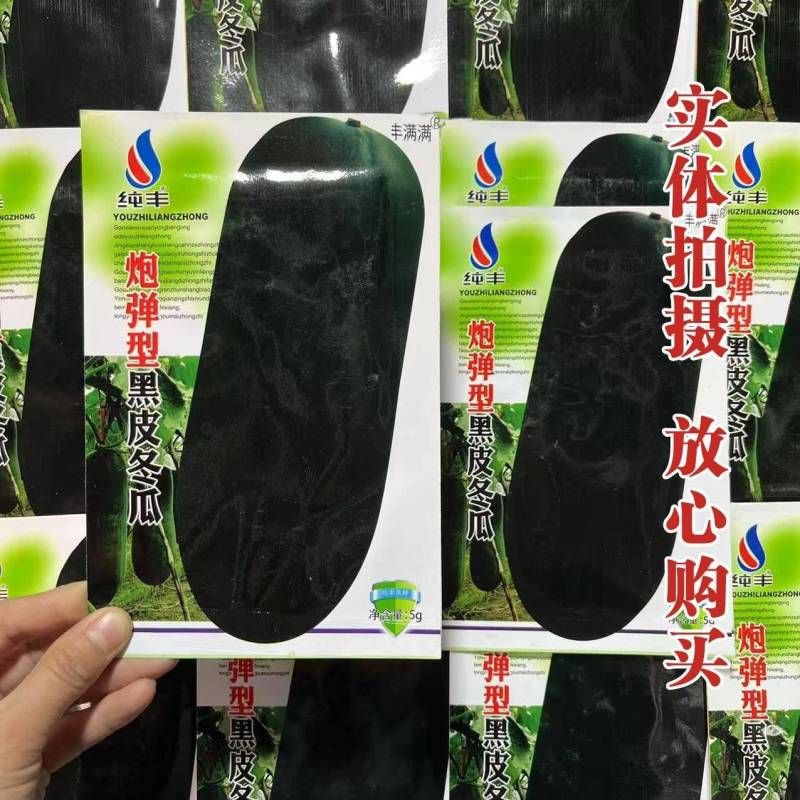 炮弹冬瓜种子广东黑皮冬瓜种籽高产特大巨型春秋春季四季蔬菜