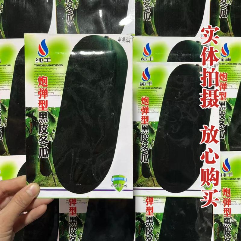 炮弹冬瓜种子广东黑皮冬瓜种籽高产特大巨型春秋春季四季蔬菜