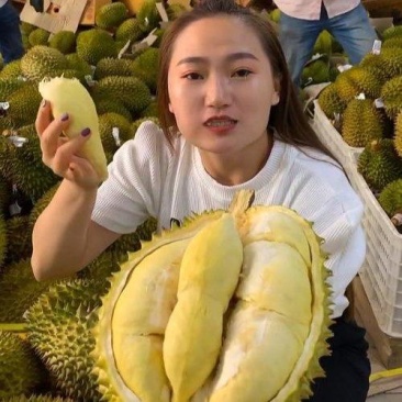 金枕榴莲一手批发价格，A果保5房，坏果包赔，包售后