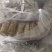 精品粽子批发货源充足量大从优厂家批发欢迎咨询