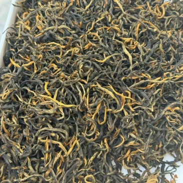 春茶古树红茶云南滇红茶厂家直销价格实惠全国发货