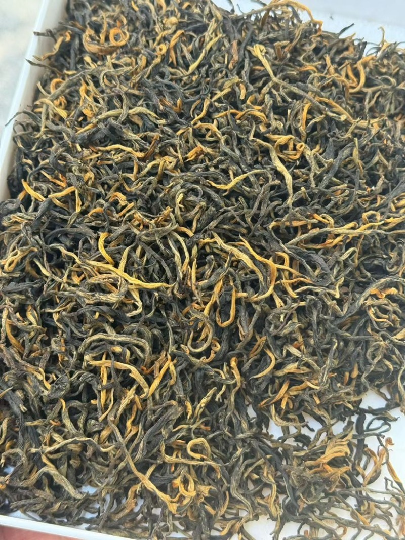 春茶古树红茶云南滇红茶厂家直销价格实惠全国发货