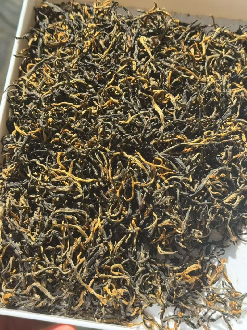 春茶古树红茶云南滇红茶厂家直销价格实惠全国发货