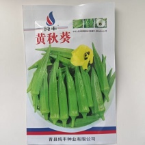黄秋葵种子高产绿秋葵种子南北易种植阳台盆栽蔬菜种子庭院种