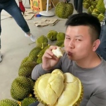 金枕榴莲一手批发价格，A果保5房，坏果包赔，包售后