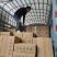 普洱生茶光饼一口料357克工厂直销，价格实惠，全国发货