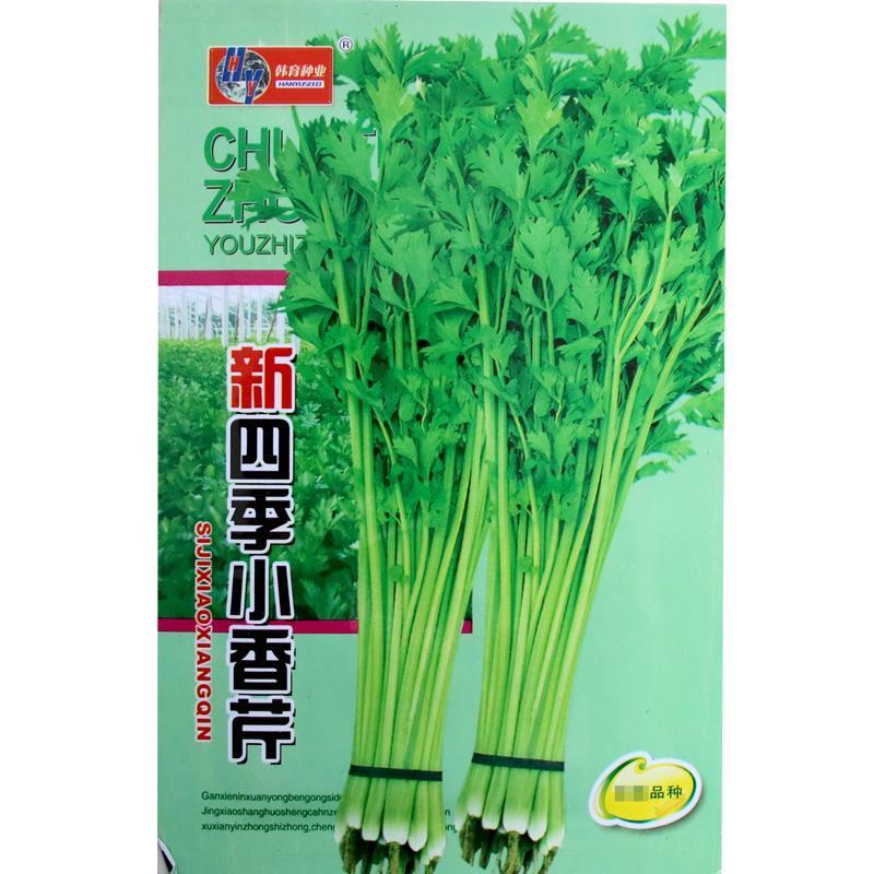 新四季小香芹种籽鲜嫩无纤维长势快耐寒耐热春秋播种香芹菜种