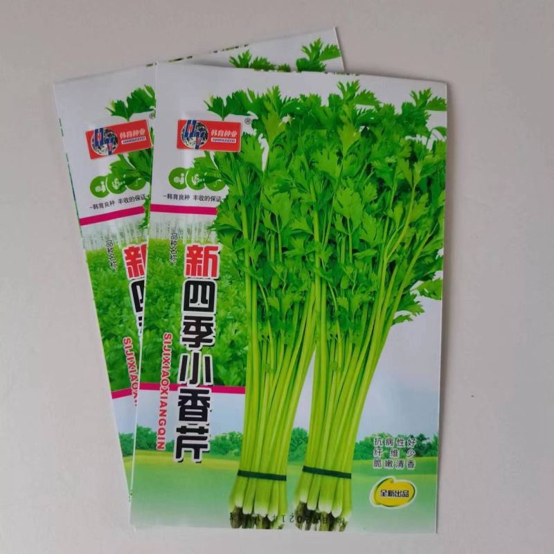 新四季小香芹种籽鲜嫩无纤维长势快耐寒耐热春秋播种香芹菜种