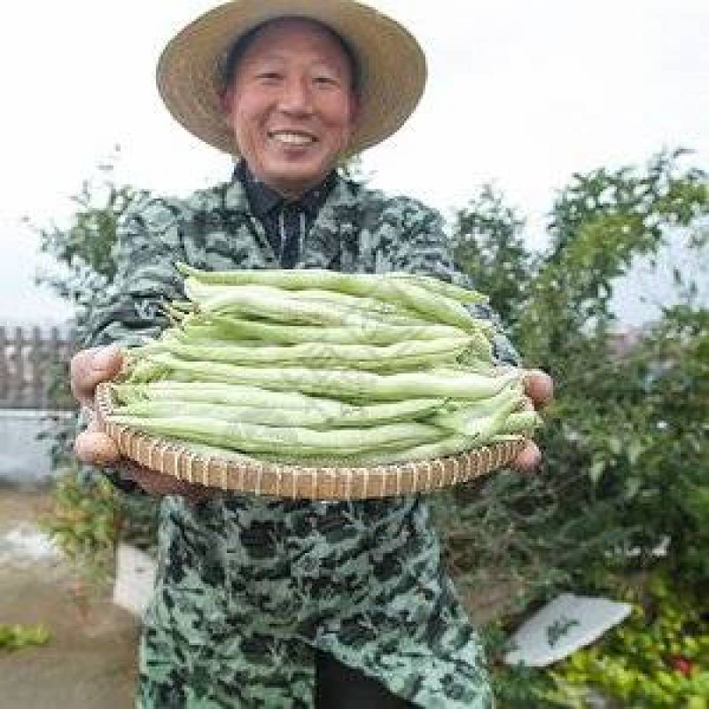 山东白不老大量上市，可对接电商，超市，饭店