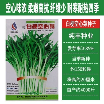 纯丰白梗空心菜种子四季速生菜园阳台盆栽白梗柳叶空心菜