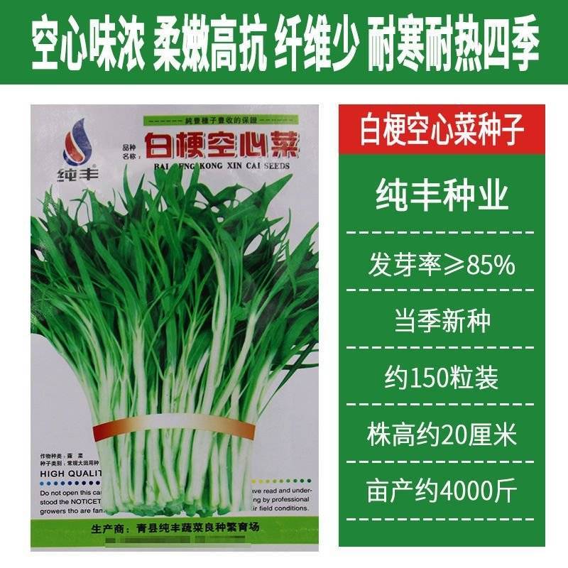 纯丰白梗空心菜种子四季速生菜园阳台盆栽白梗柳叶空心菜