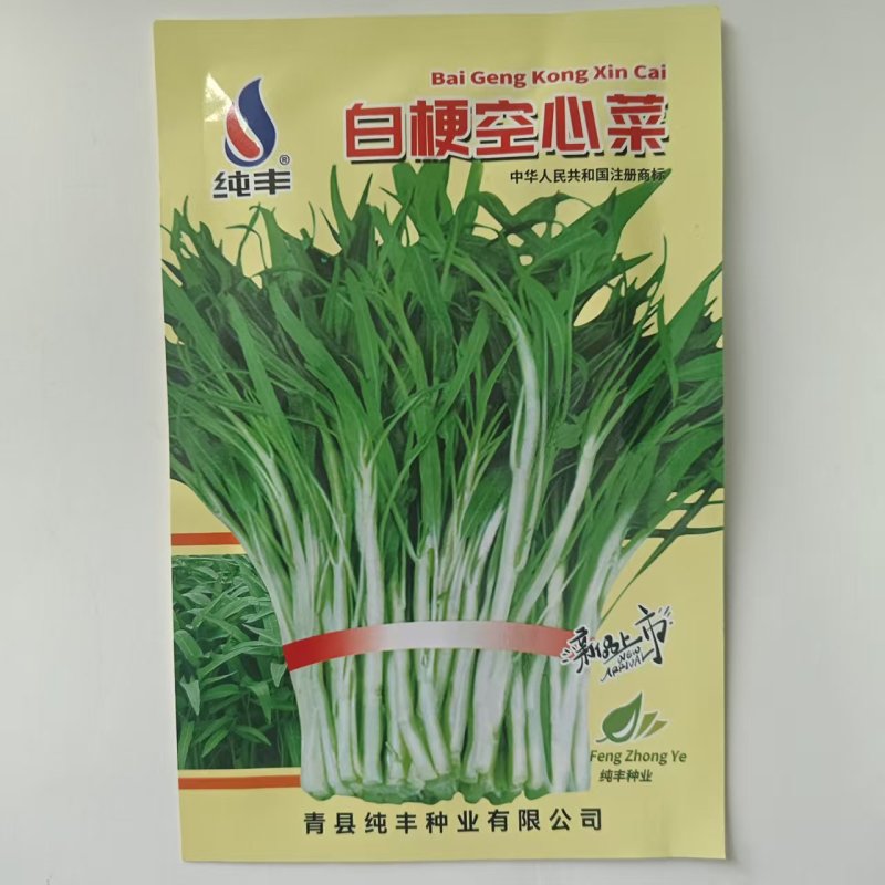 纯丰白梗空心菜种子四季速生菜园阳台盆栽白梗柳叶空心菜