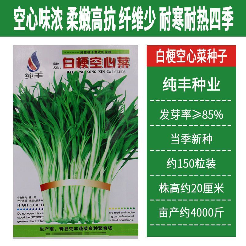 纯丰白梗空心菜种子四季速生菜园阳台盆栽白梗柳叶空心菜