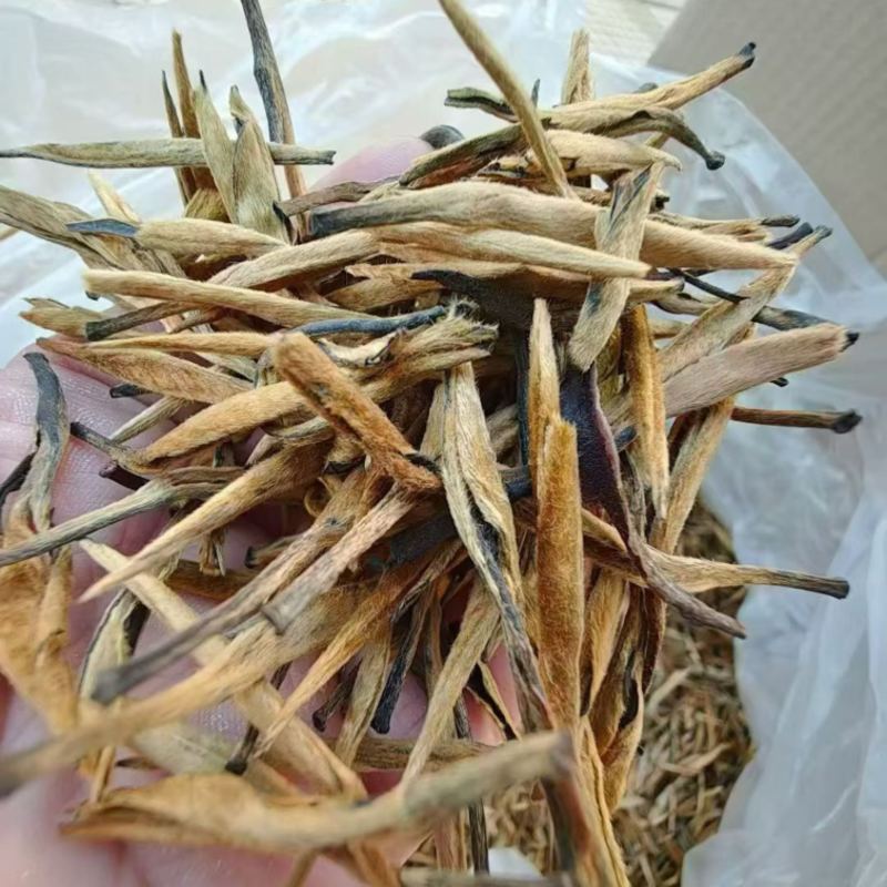 云南滇红大金针工厂直销，价格有优势，全国发货