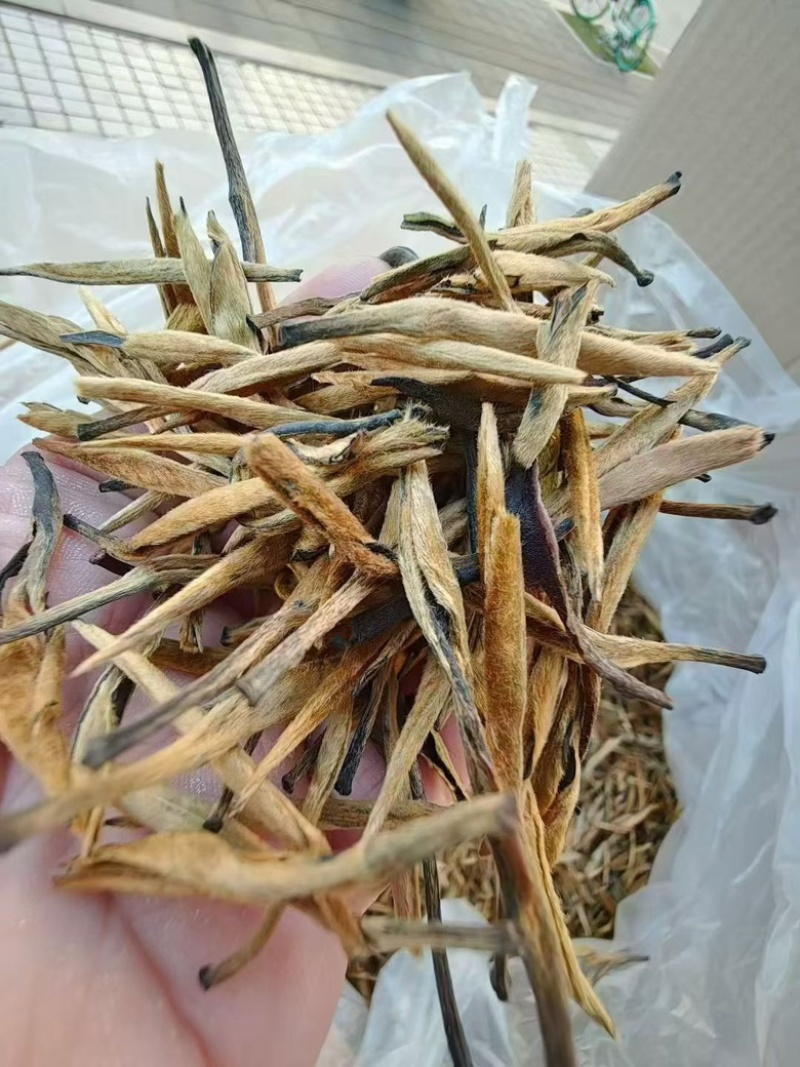 云南滇红大金针工厂直销，价格有优势，全国发货