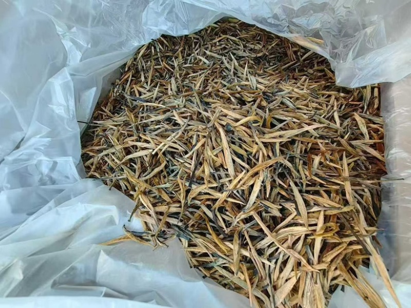云南滇红大金针工厂直销，价格有优势，全国发货