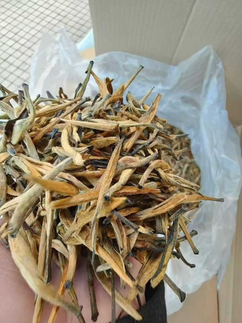 云南滇红大金针工厂直销，价格有优势，全国发货