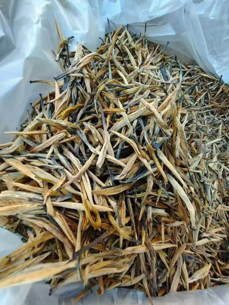 云南滇红大金针工厂直销，价格有优势，全国发货