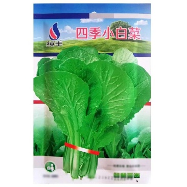 四季小白菜种子甜白菜种籽本土农家菜园青菜快菜阳台盆栽蔬菜