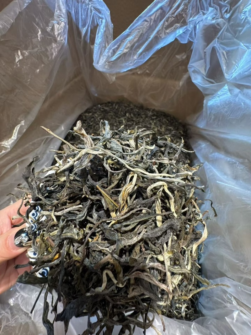 花香古树春茶普洱生茶工厂直销，价格有优势，全国发货