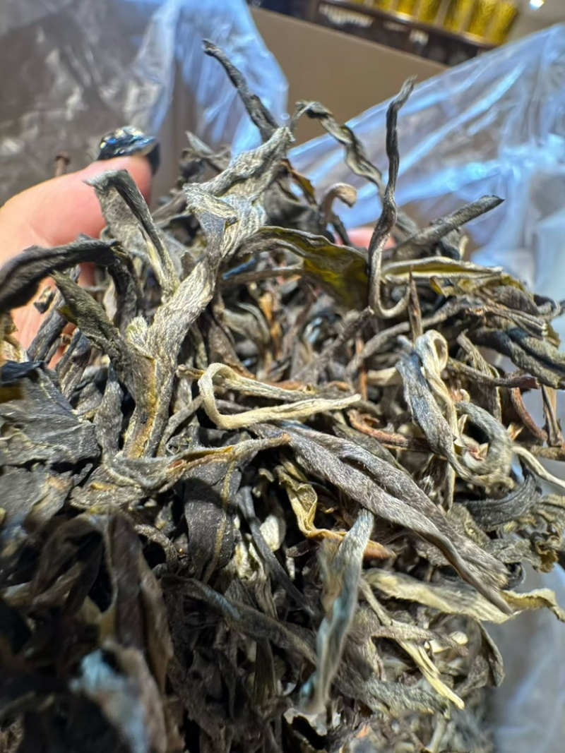 花香古树春茶普洱生茶工厂直销，价格有优势，全国发货