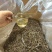 花香古树春茶普洱生茶工厂直销，价格有优势，全国发货