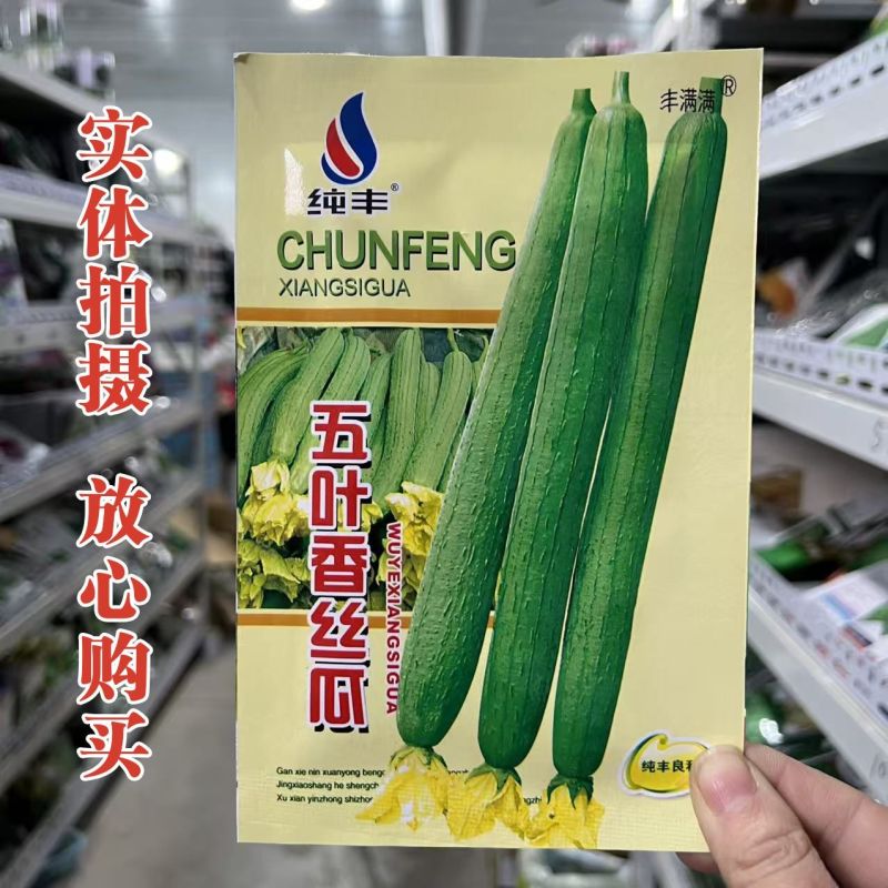 五叶香丝瓜种子蔬菜籽庭院大田种植长肉丝瓜籽种子蔬菜长棱丝