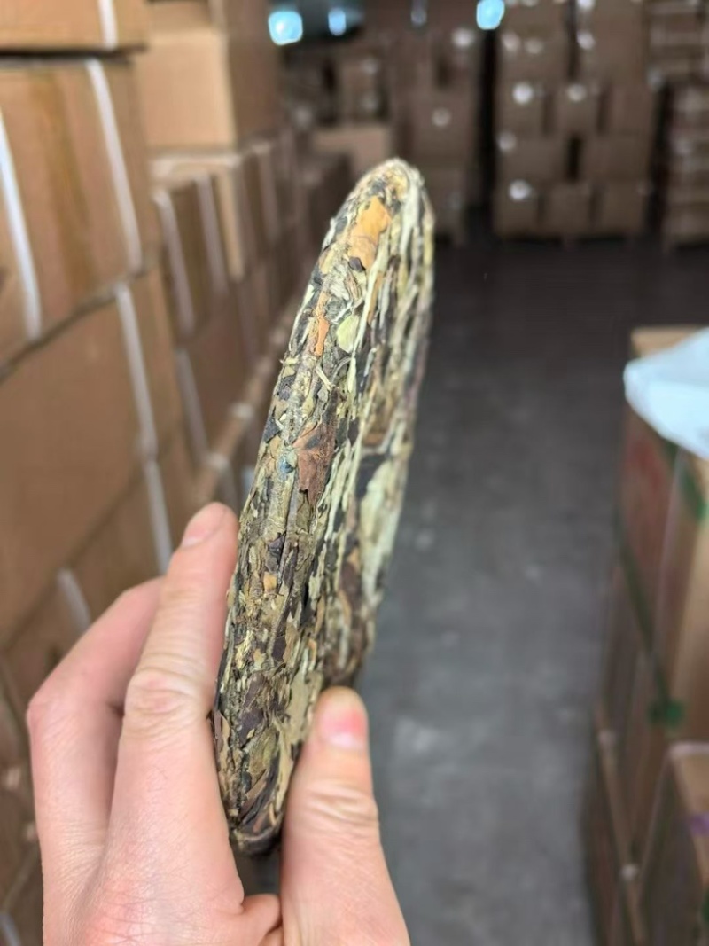 云南老白茶生茶工厂清仓，价格有优势，全国发货