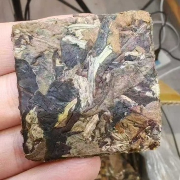 老白茶小方片光片工厂直销，全国发货，价格有优势