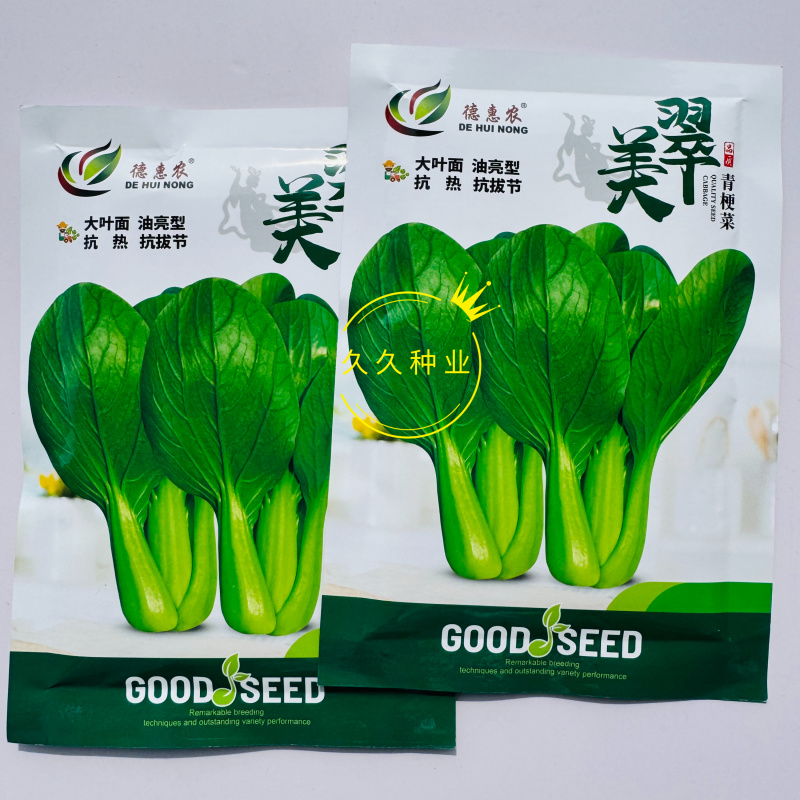 美翠杂交青梗菜种子油亮型大叶面叶柄绿耐热耐湿抗拔节产量高