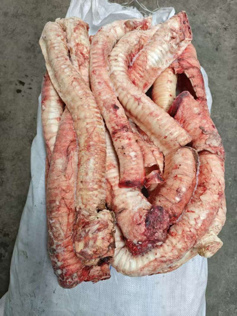牛气管，精修去油国产牛肺管，一手货源，全国发货