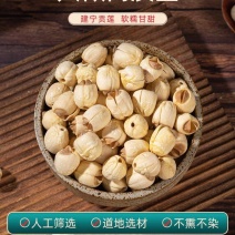 建宁无硫手工去芯农家自产手工莲子
