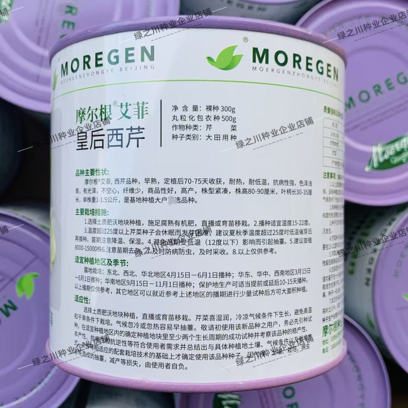 摩尔根艾菲皇后西芹种子丸粒化芹菜种子早熟不空心四季西芹种