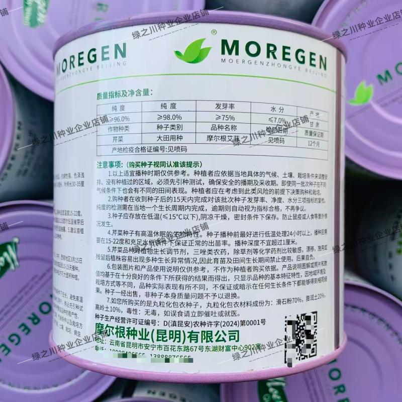 摩尔根艾菲皇后西芹种子丸粒化芹菜种子早熟不空心四季西芹种