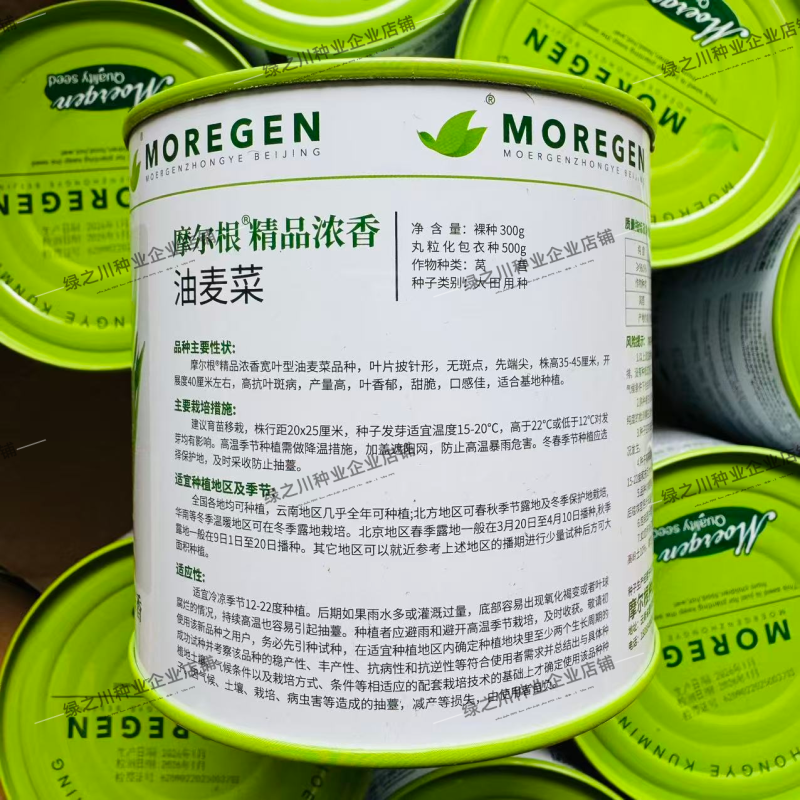 摩尔根油麦菜种子甜脆精品浓香油麦菜种籽丸粒化包衣油麦菜种