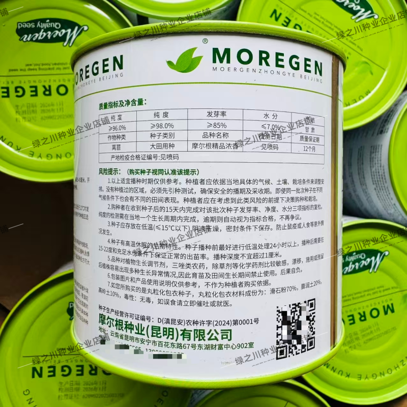 摩尔根油麦菜种子甜脆精品浓香油麦菜种籽丸粒化包衣油麦菜种