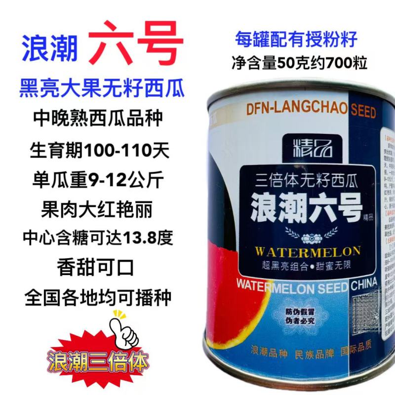 浪潮六号三倍体无籽西瓜种子较抗枯萎病中晚熟果实圆形