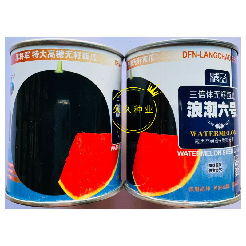 浪潮六号三倍体无籽西瓜种子较抗枯萎病中晚熟果实圆形