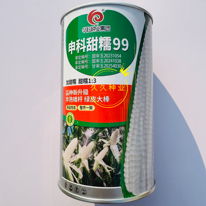 申科甜糯99玉米种子早熟产量高绿皮大棒外皮超薄鲜甜香糯适