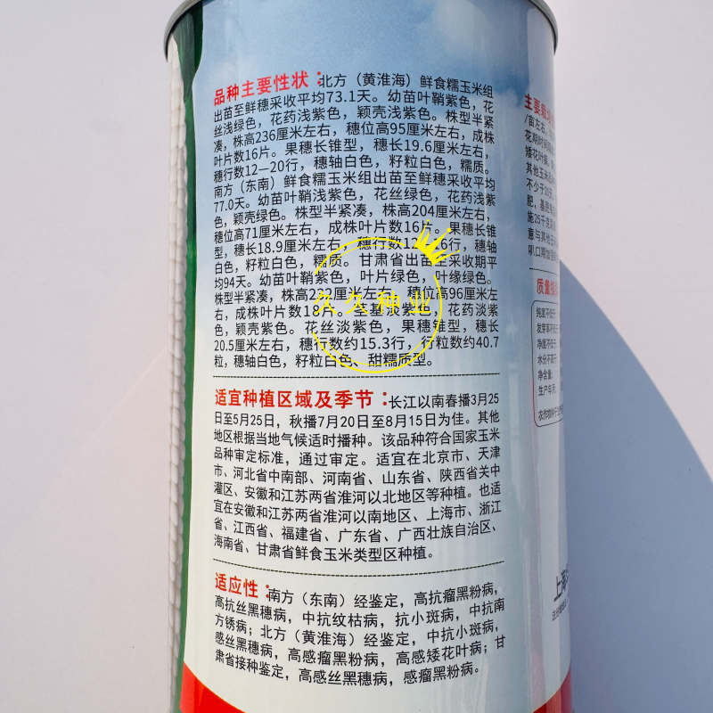 申科甜糯99玉米种子早熟产量高绿皮大棒外皮超薄鲜甜香糯适