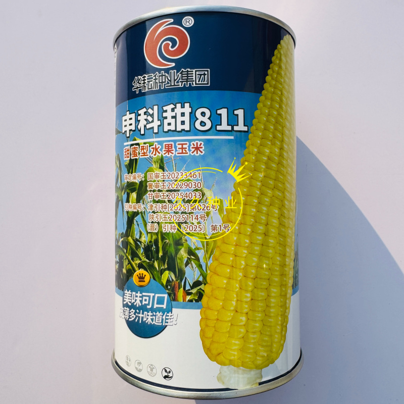 申科甜811水果玉米种子生吃鲜食黄色水果甜玉米大棒皮薄