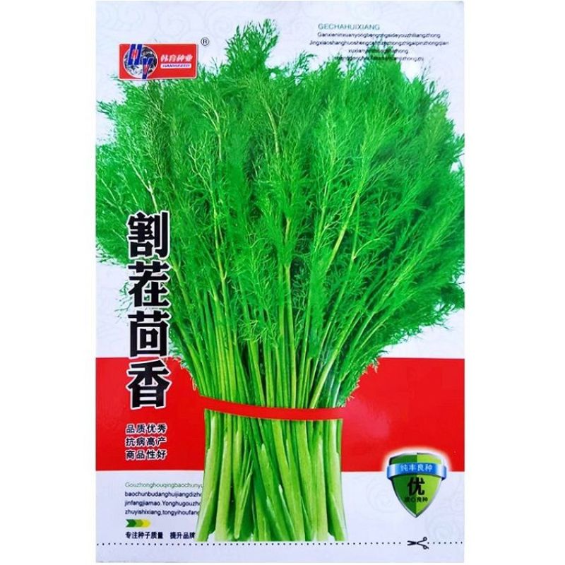 割茬茴香种子茴香种籽菜种籽大全四季南方阳台盆栽易种蔬菜种