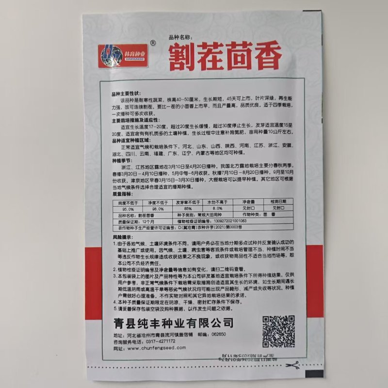 割茬茴香种子茴香种籽菜种籽大全四季南方阳台盆栽易种蔬菜种