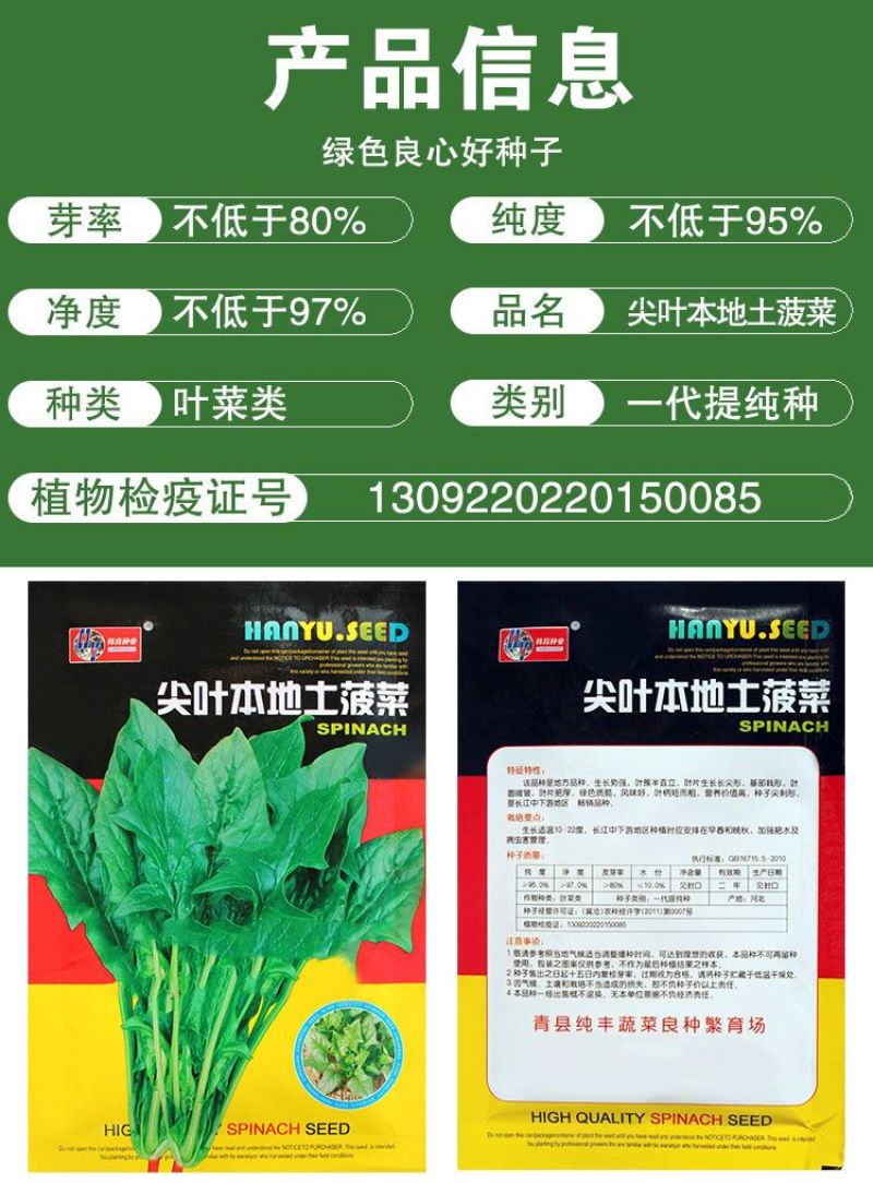 尖叶本地土菠菜种子大叶菠菜种籽尖叶菠菜蔬菜种子庭院阳台大
