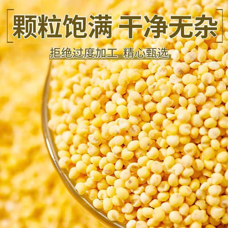 新东北大黄米农家黏黄米粘大黄米糯大黄米汤圆包粽子