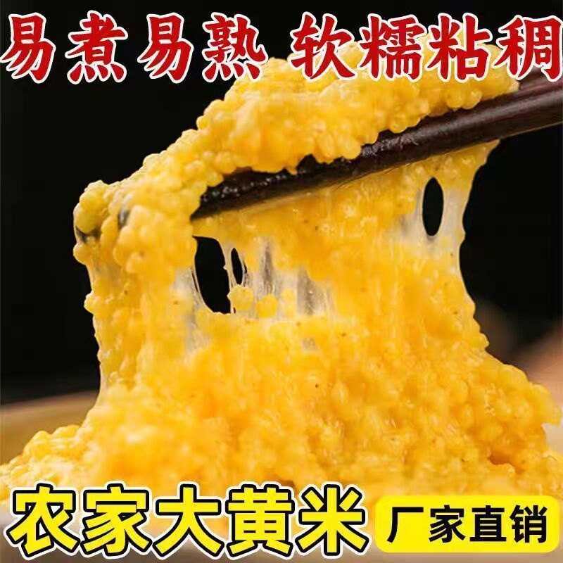 新东北大黄米农家黏黄米粘大黄米糯大黄米汤圆包粽子