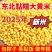 新东北大黄米农家黏黄米粘大黄米糯大黄米汤圆包粽子