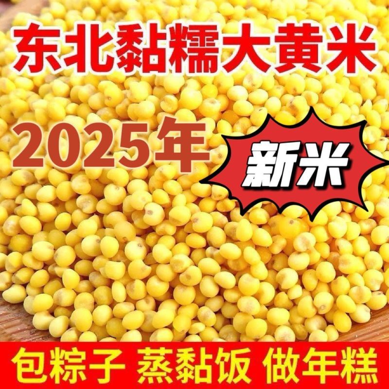 新东北大黄米农家黏黄米粘大黄米糯大黄米汤圆包粽子