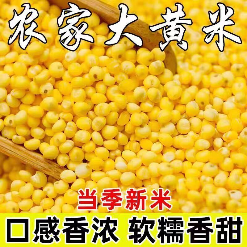 新东北大黄米农家黏黄米粘大黄米糯大黄米汤圆包粽子